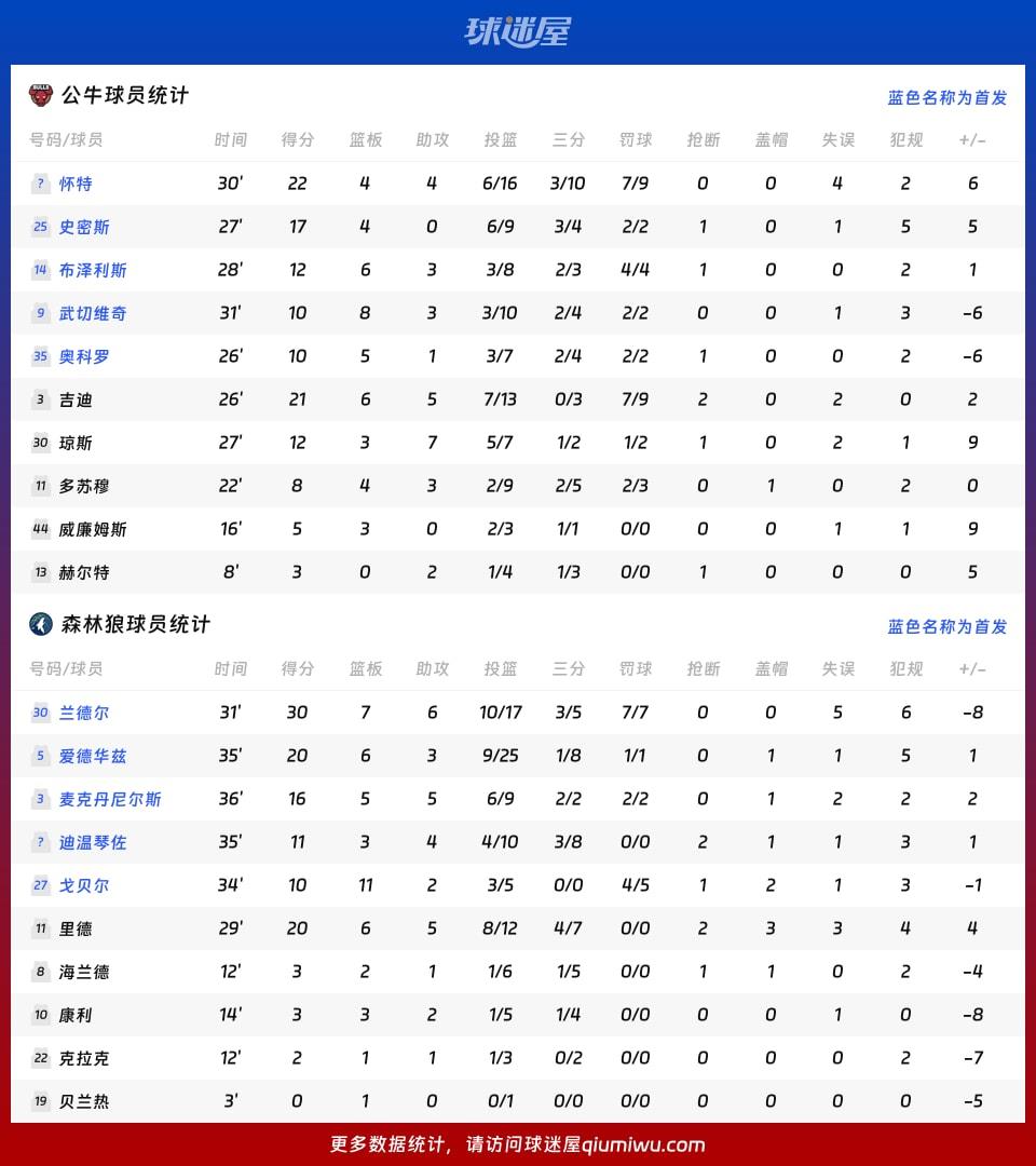 公牛vs森林狼球员数据