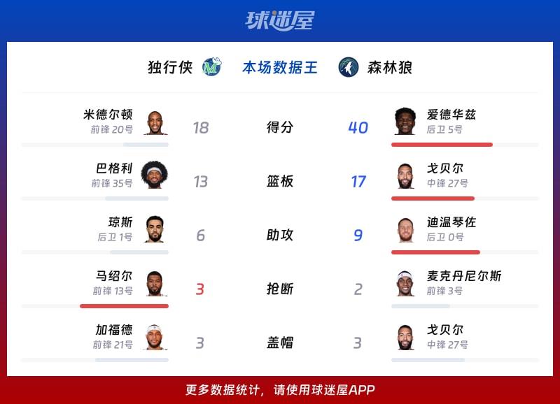 独行侠vs森林狼各项最佳