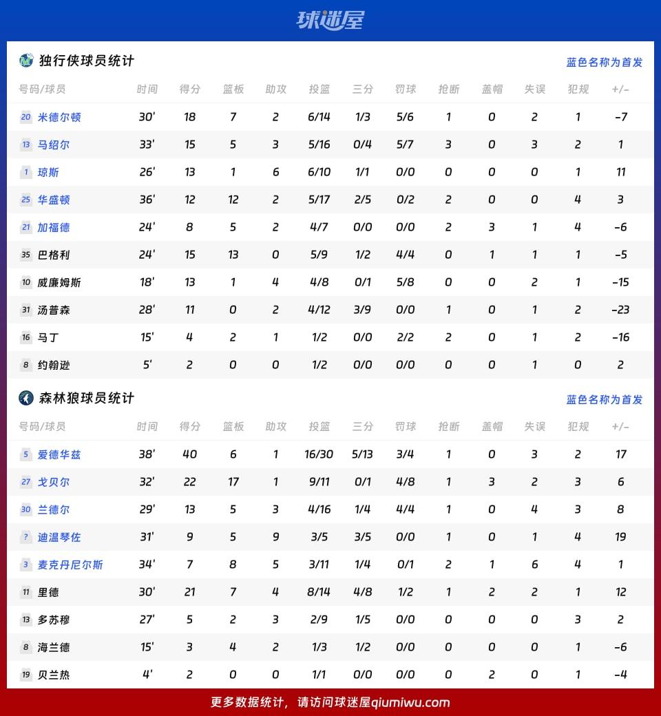 独行侠vs森林狼球员数据