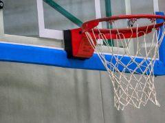 2026cba全明星教练名单揭晓，北区邱彪南区王博