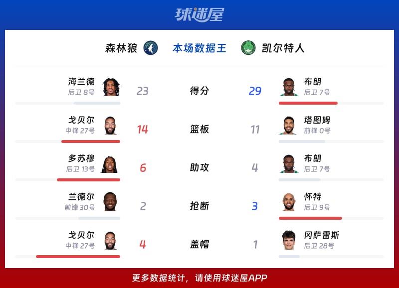 森林狼vs凯尔特人各项最佳